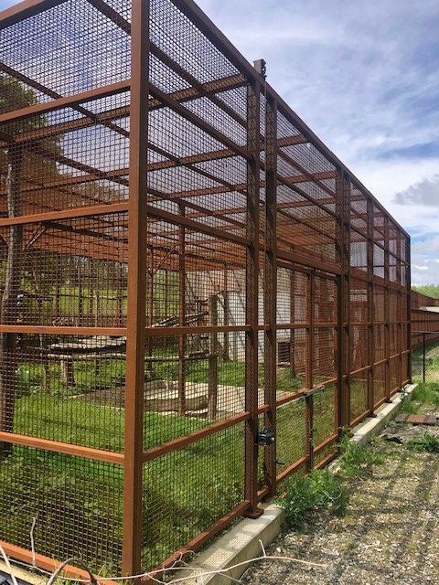 WhatsApp Image 2022-10-27 at 10.00.36